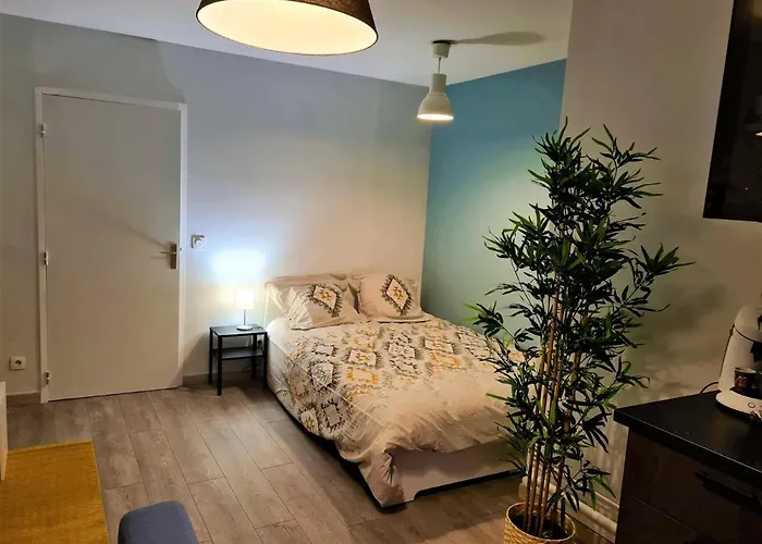 Grand Studio Lyon Villeurbanne Proche Metro - Wifi
